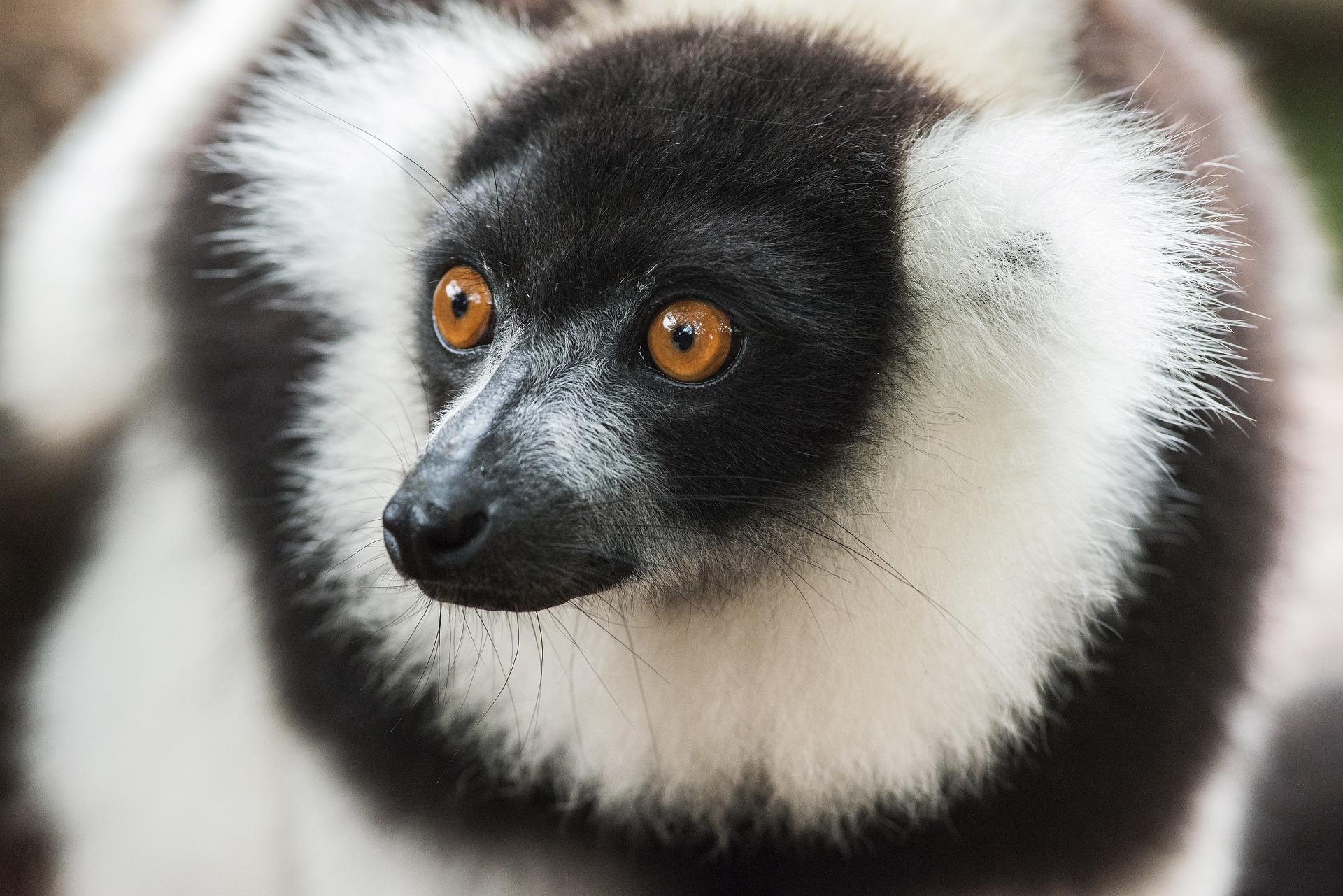 Madagascar: Ferragosto a Nosy Be