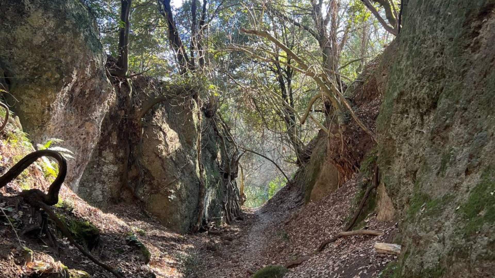 IL CAMMINO DEI TRE VILLAGGI